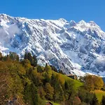 Chalet Dorfalm
