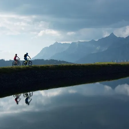 シャレー Dorfalm